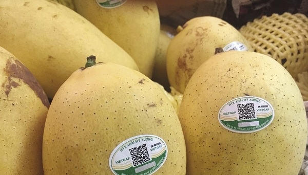 “Bệ phóng” cho trái cây Việt xuất khẩu vào thị trường Mỹ